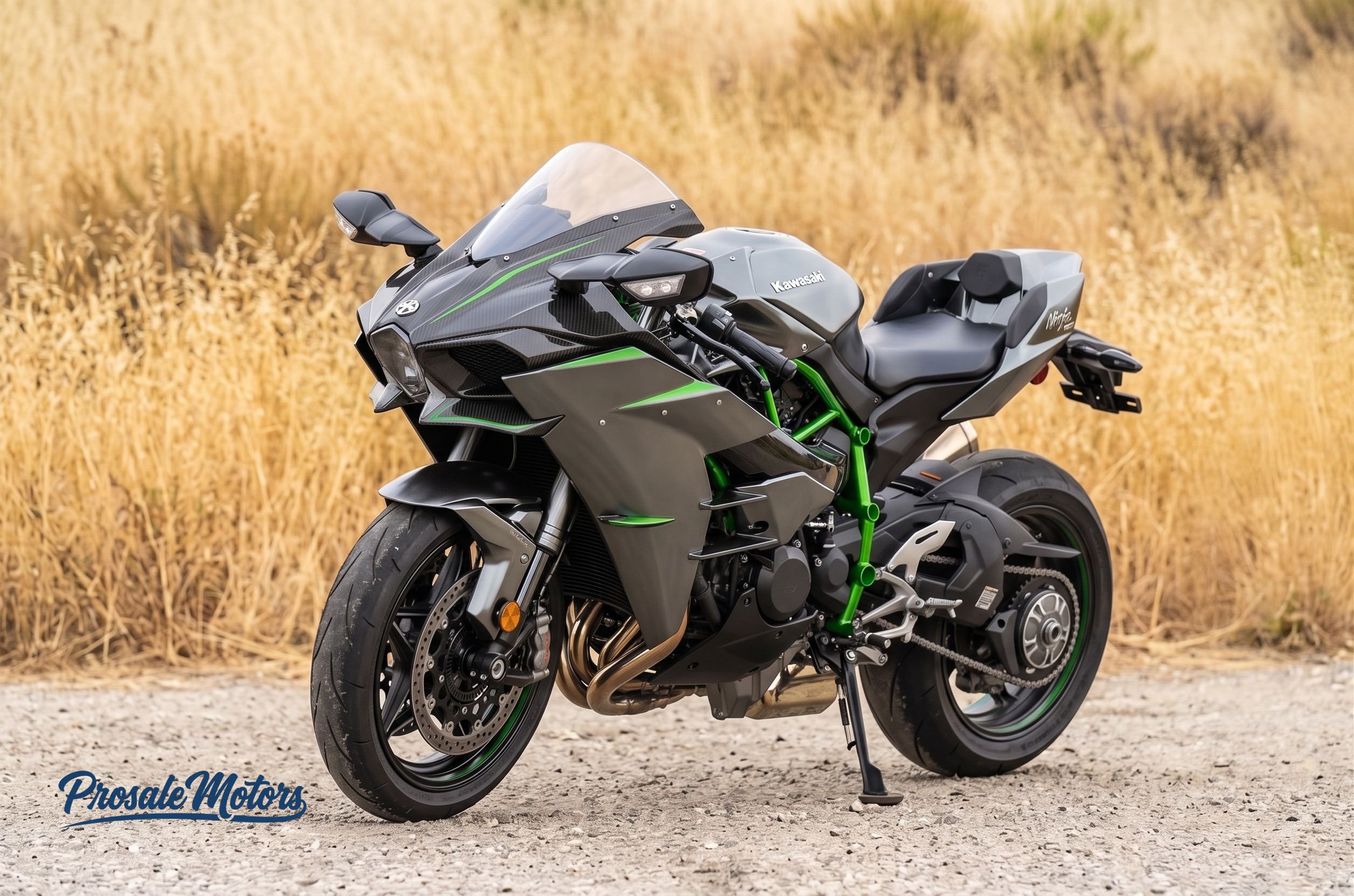 2025 Kawasaki Ninja H2 Carbon